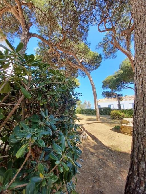 Apartamento Roc Mar Llafranc Εξωτερικό φωτογραφία