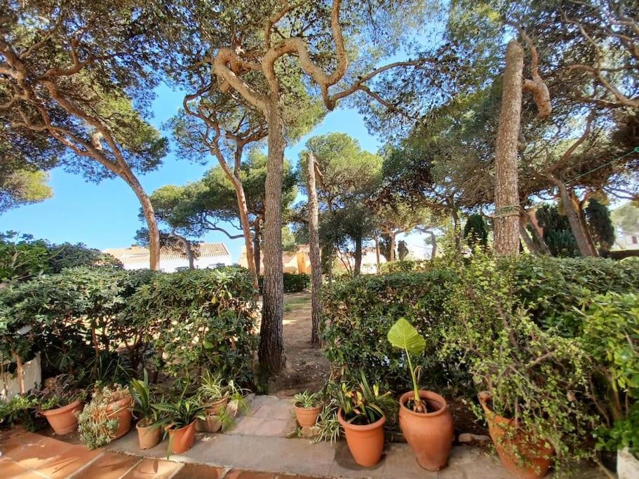 Apartamento Roc Mar Llafranc Εξωτερικό φωτογραφία