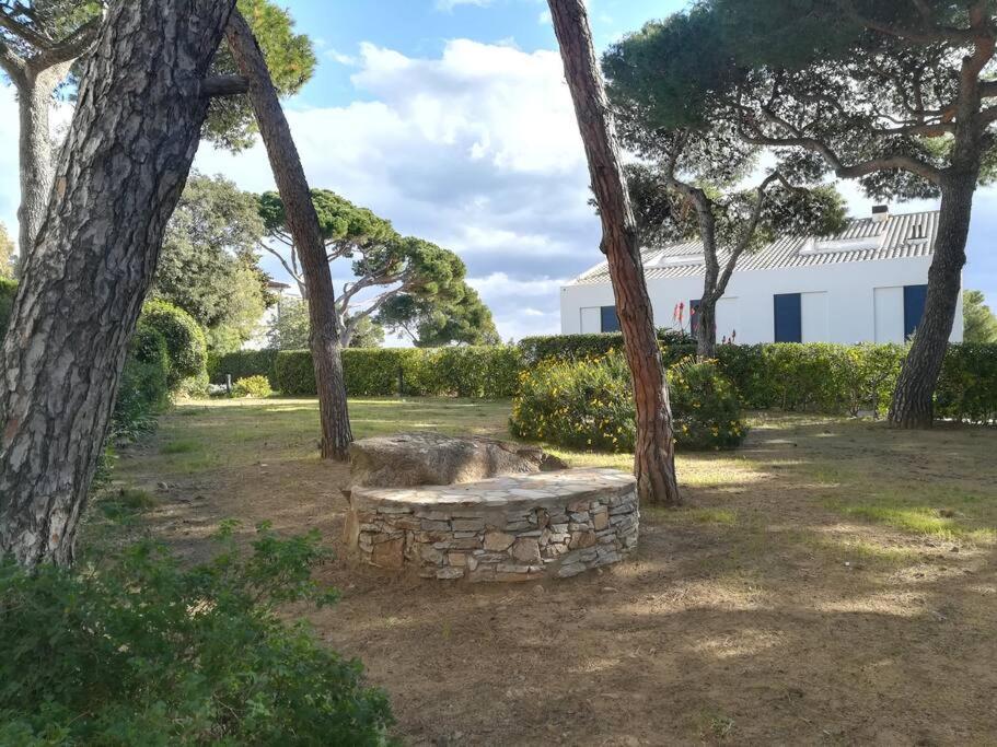 Apartamento Roc Mar Llafranc Εξωτερικό φωτογραφία